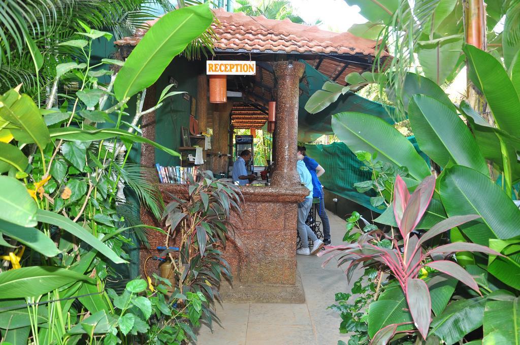 Villa Theresa Beach Resort Calangute Εξωτερικό φωτογραφία